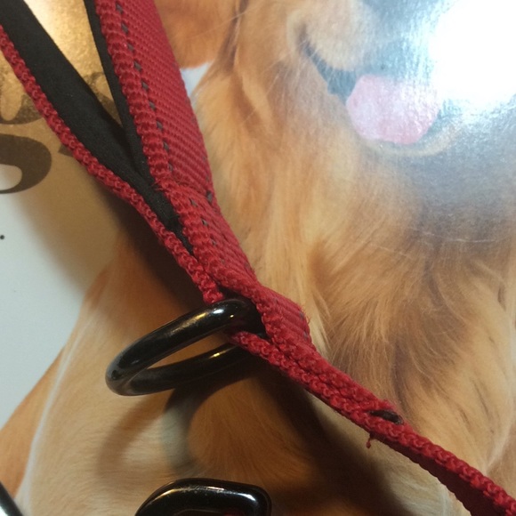 Dog leash Padded handle Max and Nemo Red - Picture 4 of 7